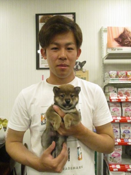 写真