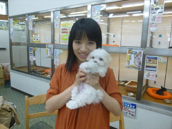 写真