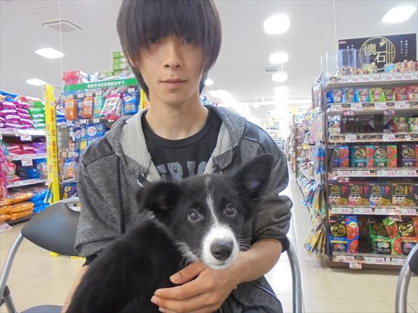 写真