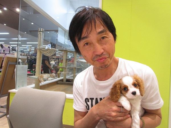 写真