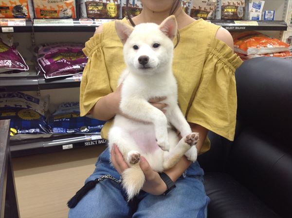写真