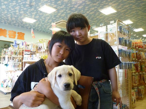 写真