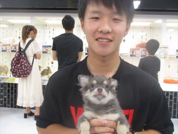 写真