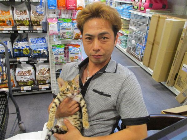 写真