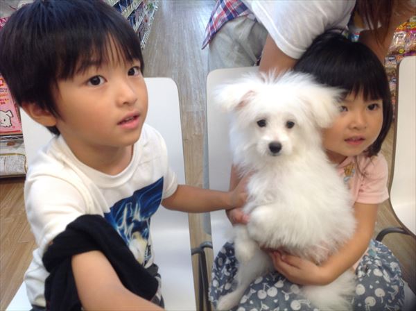 写真