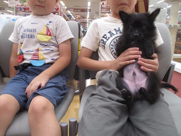 写真