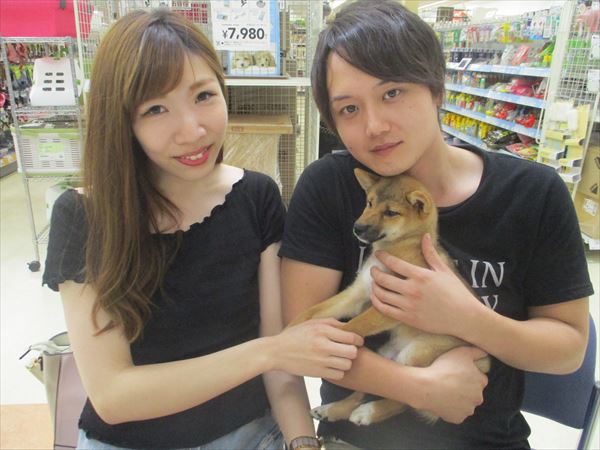写真