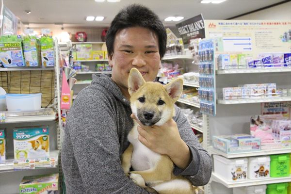 写真
