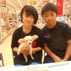 写真