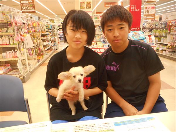 写真
