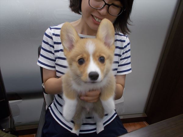写真
