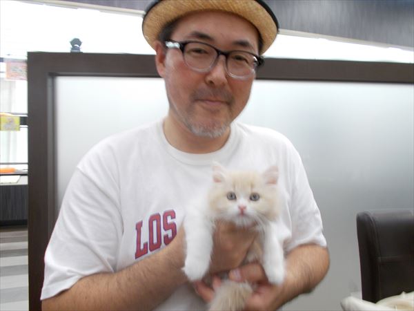 写真