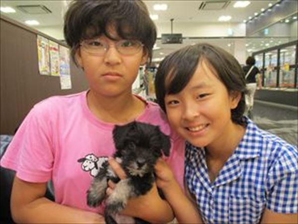 写真