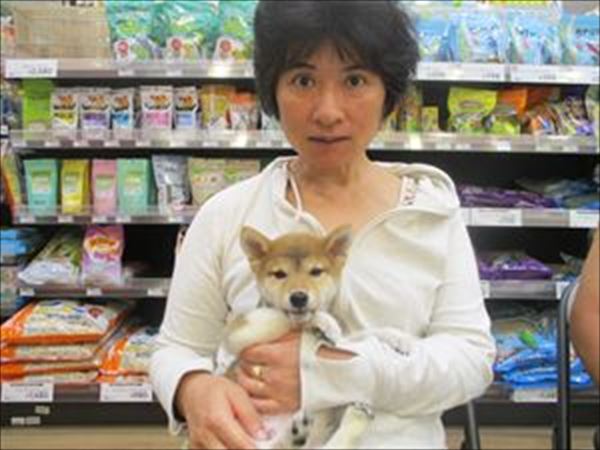 写真