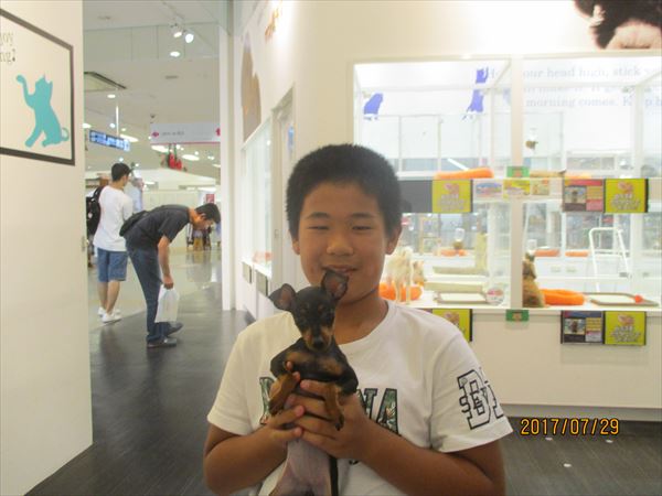 写真
