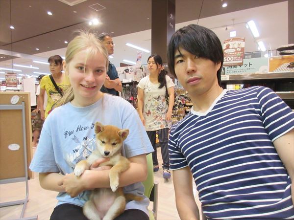 写真