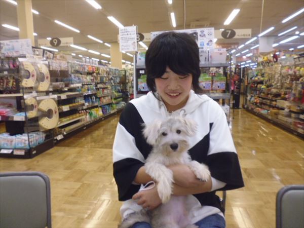 写真