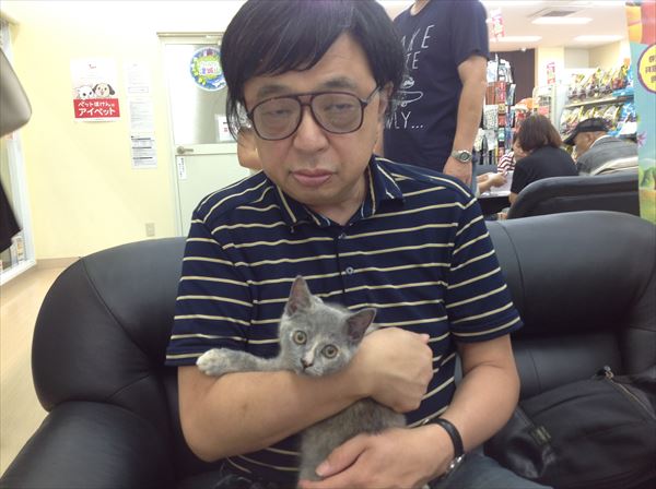 写真