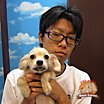 写真