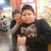 写真
