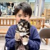 写真