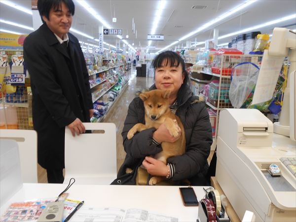 写真