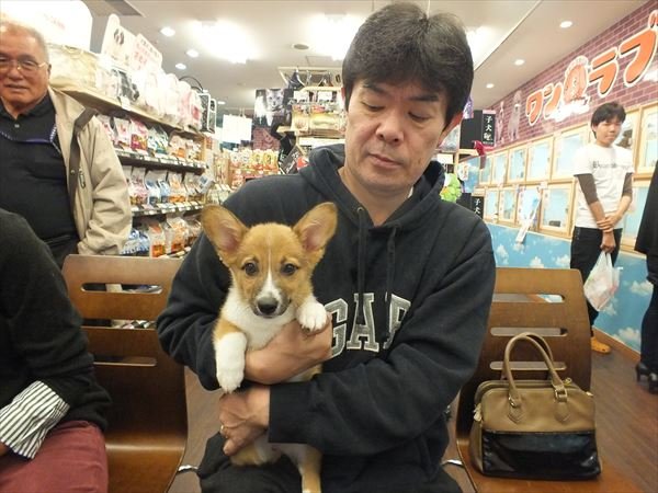 写真