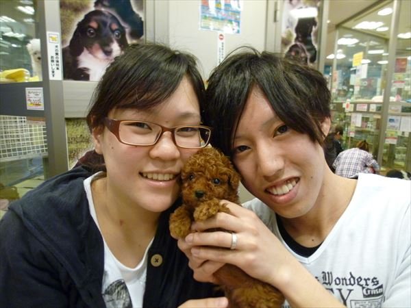 写真