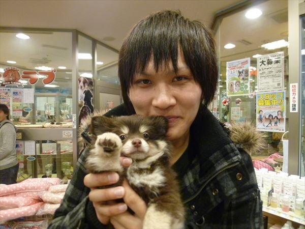 写真