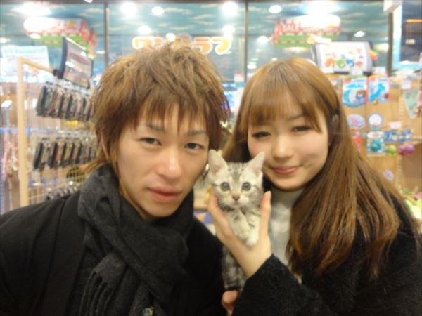 写真