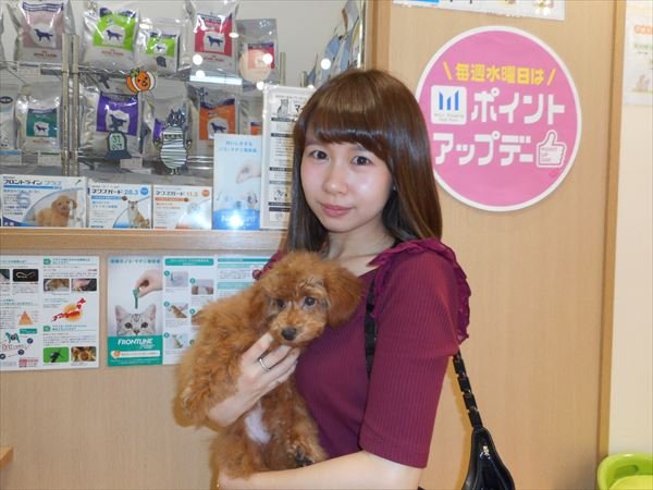 写真