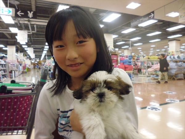 写真