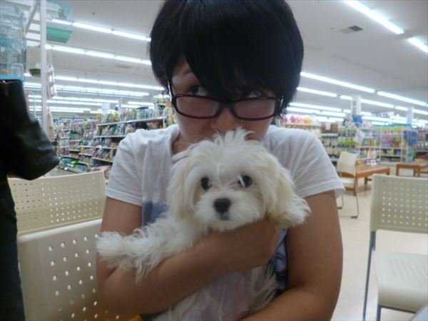 写真