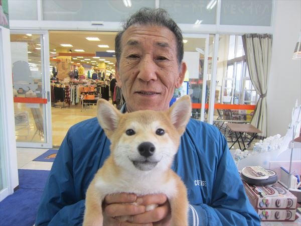 写真