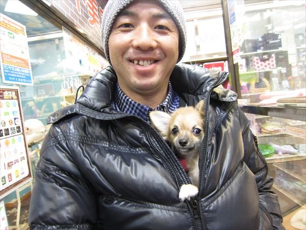 写真