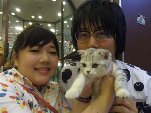 写真