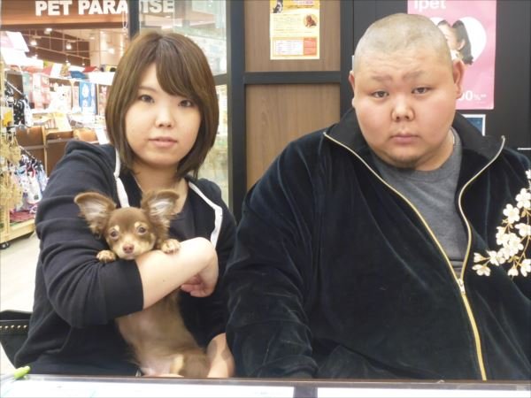 写真