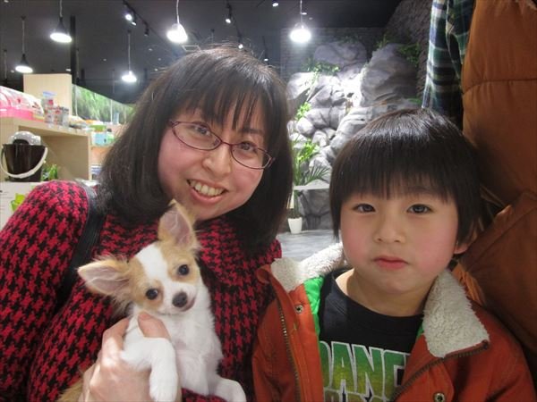 写真