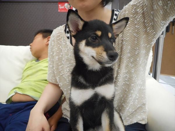 写真