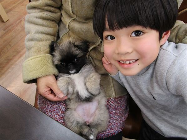写真