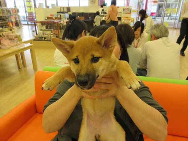 写真