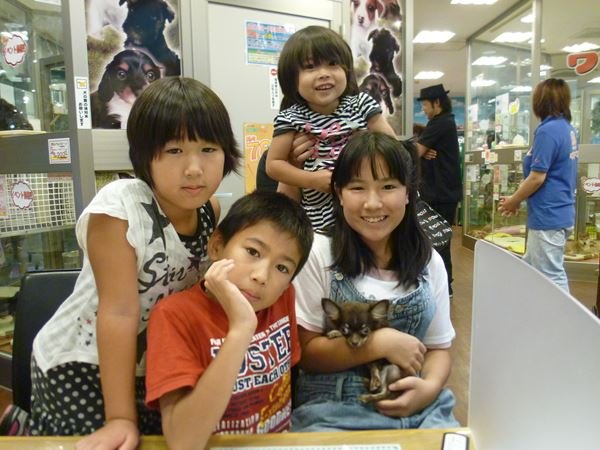 写真