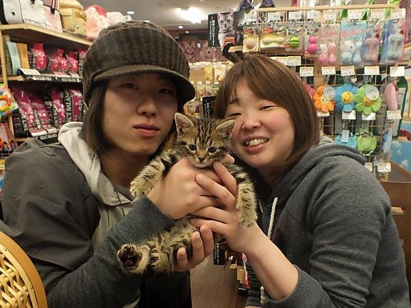 写真