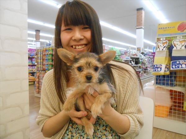 写真