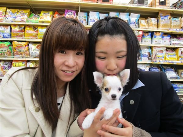 写真