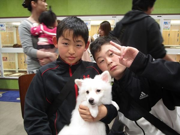 写真