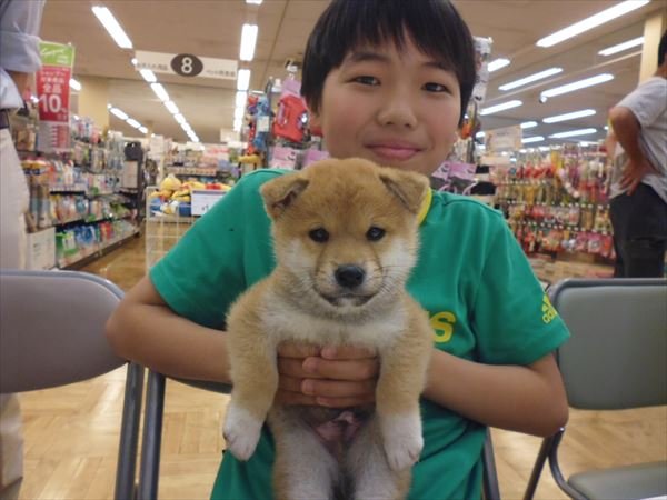 写真