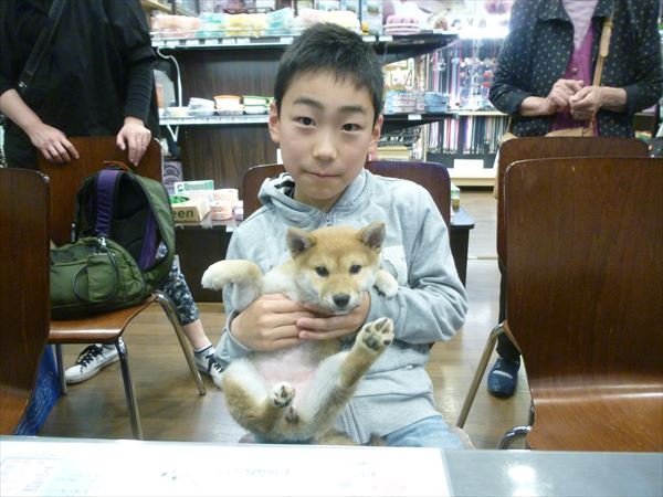 写真