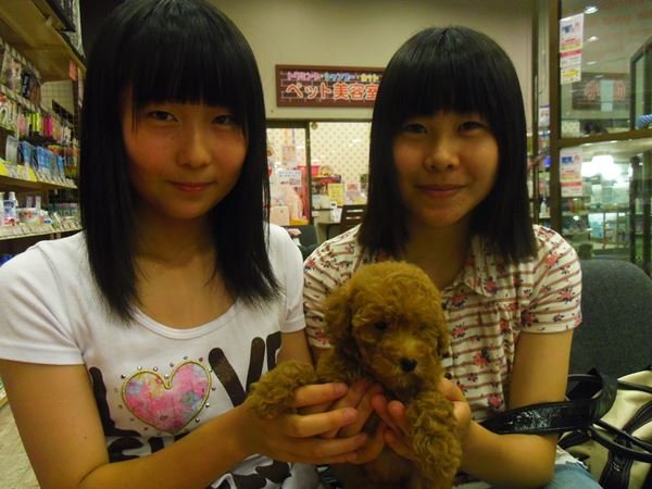 写真