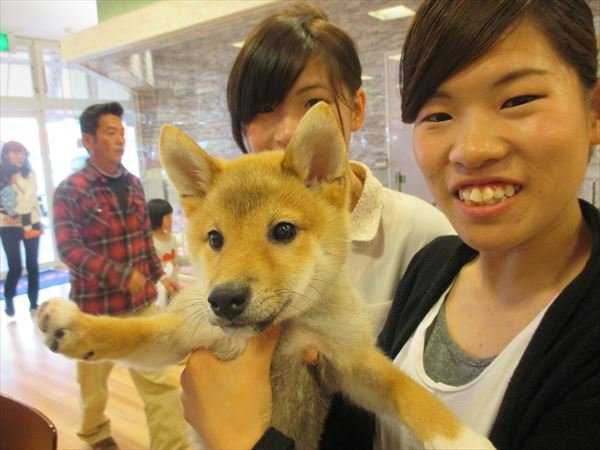 写真